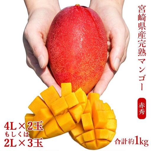 宮崎県産完熟マンゴー[赤秀] 合計約1kg(2〜3玉)