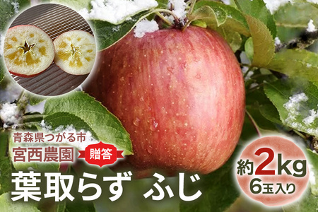 [贈答用] 葉取らずふじ[約2kg 6玉入り]園主選抜の特選りんご|青森 リンゴ [0680]