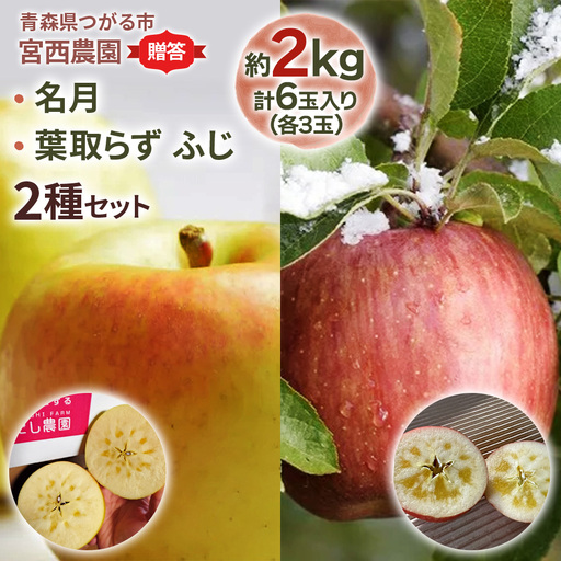 [贈答用] 名月×葉取らずふじ【約2kg 各3玉入り 計6玉】贅沢りんご 2種セット｜令和8年 2026年 青森 リンゴ [0681]