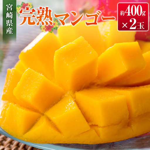 ＜2027年発送＞宮崎県産 完熟マンゴー 2玉（1玉 約400g）