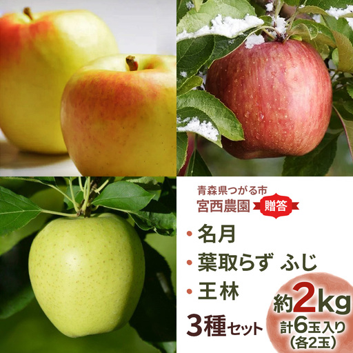 [贈答用] 名月×葉取らずふじ×王林[約2kg 各2玉入り 計6玉]贅沢りんご 3種セット|令和8年 2026年 青森 リンゴ [0682]