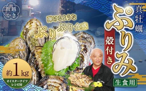 生食用 真牡蠣「ぷりみ」約1kg かき 牡蠣