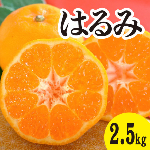 みかん 柑橘 [先行受付][2027年2月以降発送]甘くてジューシー!瀬戸内さぎしまのはるみ [約2.5kg] 広島 三原 佐木島 鷺島みかんじま みかん 017043