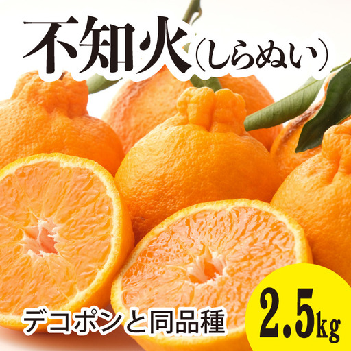 みかん 柑橘[先行受付][2027年3月以降発送]甘さ抜群しらぬい!デコちゃん[デコポンと同品種][約2.5kg] 広島 三原 佐木島 鷺島みかんじま 017044