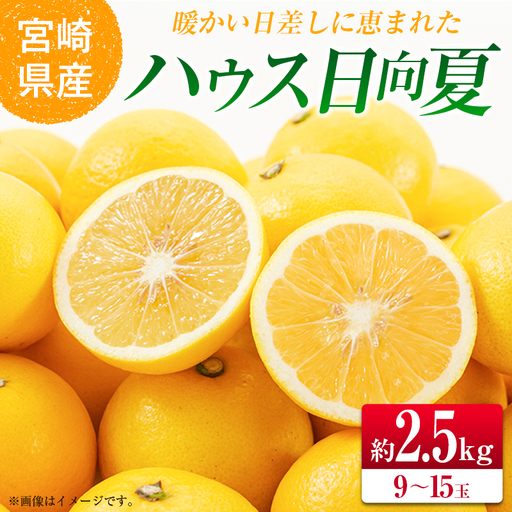[2027年発送]宮崎県産 ハウス日向夏 約2.5kg(9〜15玉入)