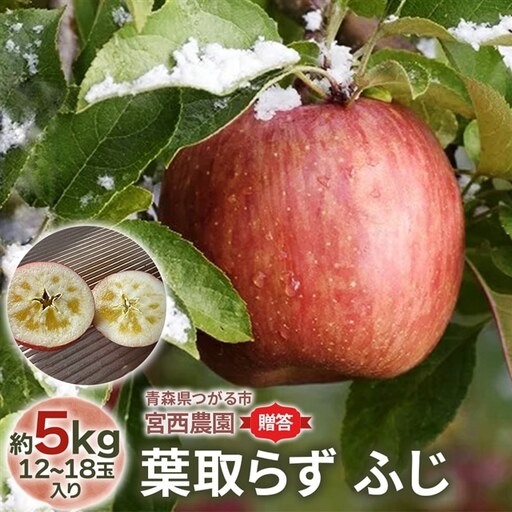 [贈答] 葉取らずふじ【約5kg 12から18玉入り】園主選抜の特選りんご｜令和8年 2026年 青森 リンゴ [0685]