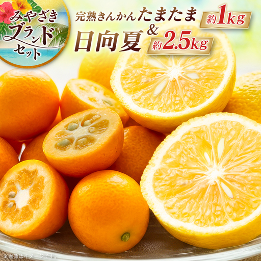 ＜2027年発送＞みやざきブランドセット（完熟きんかん たまたま・日向夏） 宮崎県産