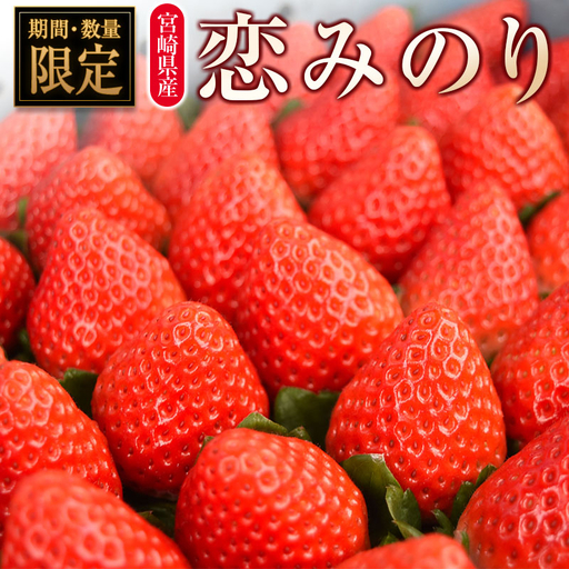 ＜2027年発送＞いちご「恋みのり」 計8パック