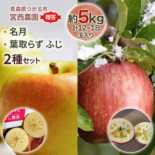 [贈答] 名月×葉取らずふじ【約5kg 計12から18玉入り】贅沢りんご 2種セット｜令和8年 2026年 青森 リンゴ [0686]