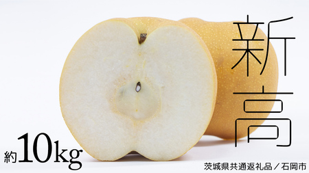【 2026年9月中旬発送開始 】 新高梨 約 10kg ( 茨城県共通返礼品 / 石岡市 ) 新高 梨 フルーツ 果物 なし ナシ 新鮮 旬 期間限定 甘い 国産 [EY003sa]