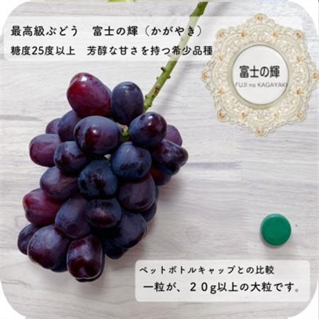 富士の輝　大房800g以上　1房【配送不可地域：離島】【1525932】