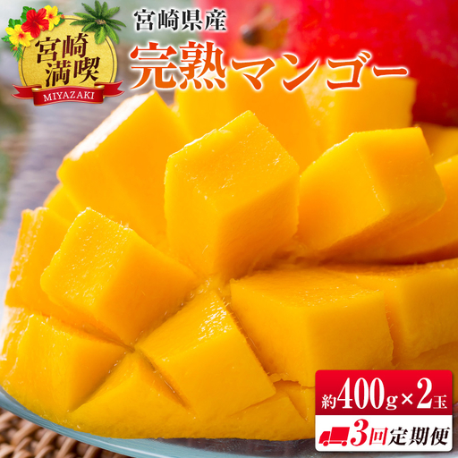 ＜2027年発送＞定期便 完熟マンゴー 約400g×2玉 全3回