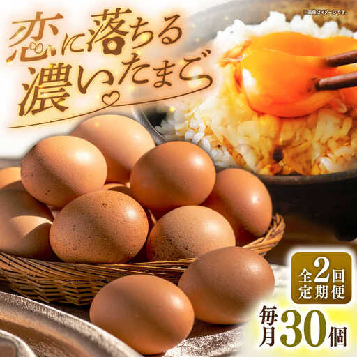 [全2回定期便][特選卵]素直な恋たまご 30個 