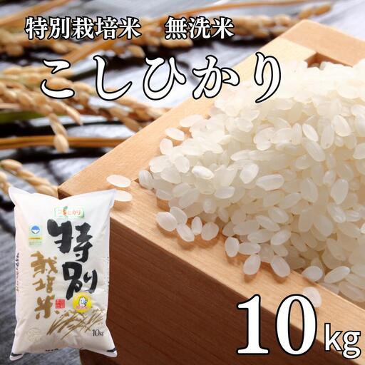 コシヒカリ10kg 無洗米 新潟県認証 特別栽培米 令和7年産 三条市 コシヒカリ