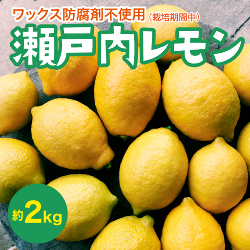 瀬戸内 レモン 約2kg【栽培期間中防腐剤ワックス不使用】【先行受付】【2026年12月以降発送】レモン 国産 佐木島 三原 広島 フルーツ 果物 柑橘 柑橘類 檸檬 017046