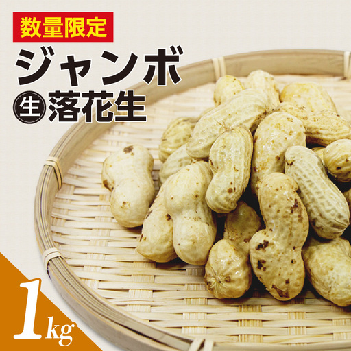 [先行予約]ジャンボ生落花生 1kg|落花生 ピーナッツ