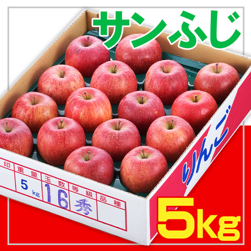 ☆フルーツ王国山形☆サンふじりんご 秀品 5kg【令和8年産先行予約】FS25-752