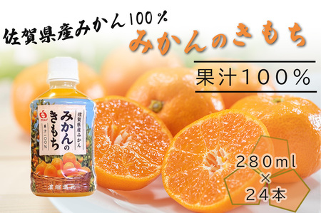 DV225_みかんのきもち　280mlﾍﾟｯﾄﾎﾞﾄﾙX24本入り