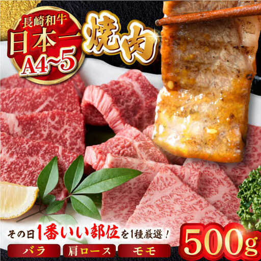 【A4?A5】長崎和牛焼肉用　500g (バラ・肩ロース・モモからいずれか)【株式会社MEAT PLUS】[MG01]