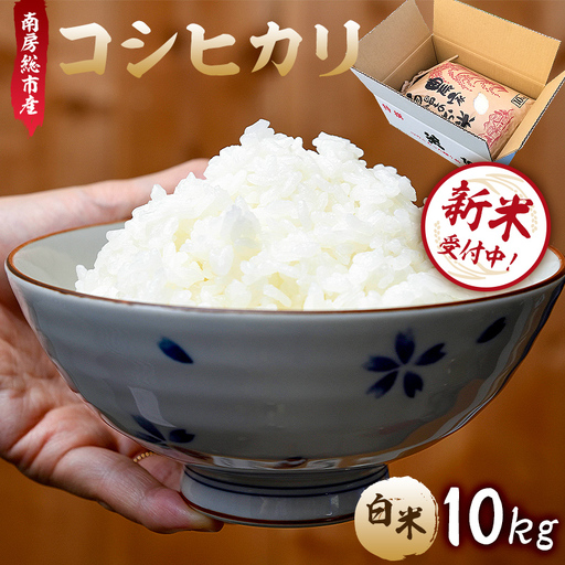 【新米】【令和8年産】南房総市産コシヒカリ白米10kg mi0018-0016