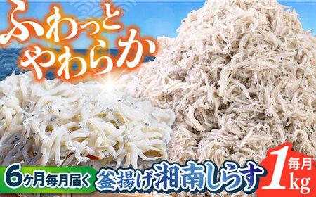 【全6回定期便】釜揚げ 湘南しらす 1kg【平敏丸】 [AKEZ012]