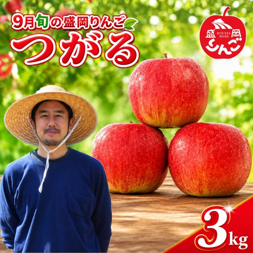 先行予約りんご「つがる」3kg 盛岡りんご つがる りんご工房きただRKK001