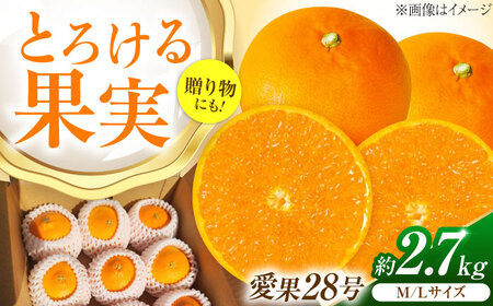 みかん 愛果28号 約2.7kg M-Lサイズ フルーツ 果物 みかん