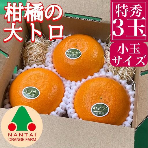 お試し規格 柑橘の大トロ ハウス せとか 厳選 小玉 3玉入 手さげ箱 南泰園 和歌山 有田 高級せとか 小玉 ハウス 温室 化粧箱入り 甘い