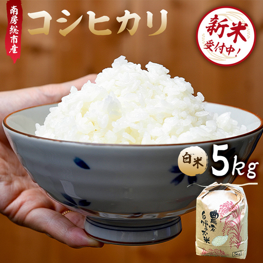 [新米][令和8年産]南房総市産コシヒカリ白米5kg mi