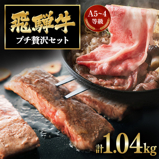 飛騨牛 A5〜4等級 プチ贅沢セット (A01-012)