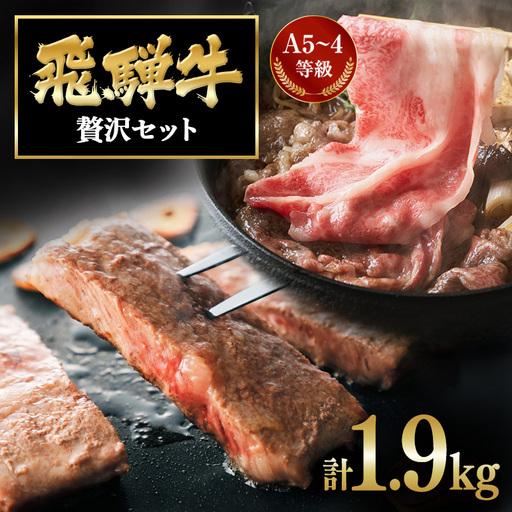 飛騨牛 A5〜4等級 贅沢セット (A01-021)