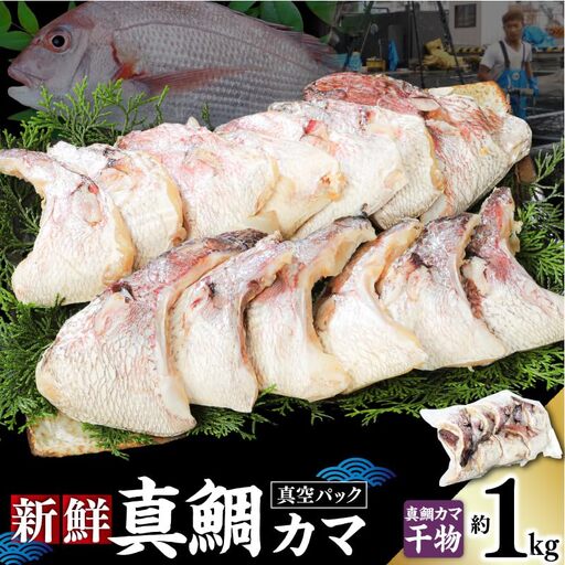 新鮮真鯛カマ干物(約1kg) M079-011-03 冷凍 加工品