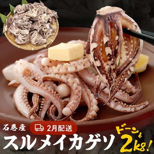 訳あり 石巻産スルメイカゲソ 2kg 2月配送 冷凍 国産 いか 下足 おつまみ ゲソ天 焼イカ おかず