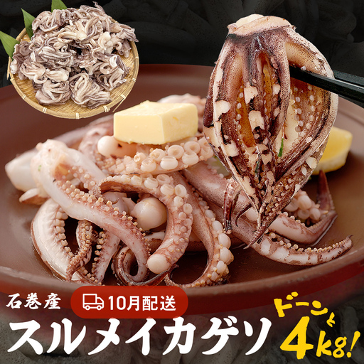 訳あり 石巻産スルメイカゲソ 4kg 10月配送 冷凍 国産 いか 下足 おつまみ ゲソ天 焼イカ おかず