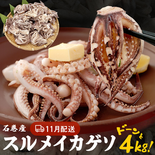 訳あり 石巻産スルメイカゲソ 4kg 11月配送 冷凍 国産 いか 下足 おつまみ ゲソ天 焼イカ おかず