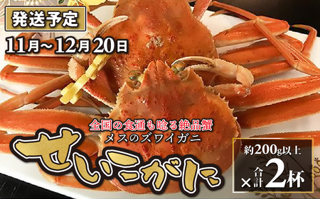 [先行予約]せいこがに 2杯[11月〜12月発送] 日本海 直送