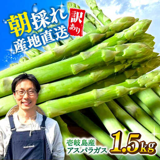 【先行予約】訳あり アスパラガス1.5kg [JGI005] アスパラ 野菜