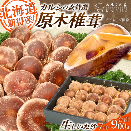 原木 生しいたけ 700g~900g | 合同会社カルシ [BNAU002]