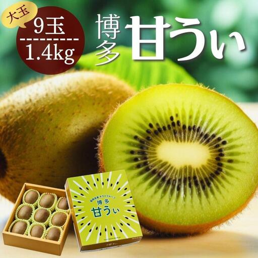 【2026年11月上旬より順次発送】博多甘うぃキウイ(あまうぃ)大玉 9玉入り 1.4kg相当 うまうまもぐもぐ