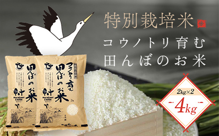 【令和8年産】特別栽培米 コウノトリ育む田んぼのお米 4kg（2kg×2袋）〈村上ファーム〉お米 おこめ 米 こめ コメ ご飯 ごはん 白米 4キロ 4kg 兵庫県 朝来市 AS1BB6