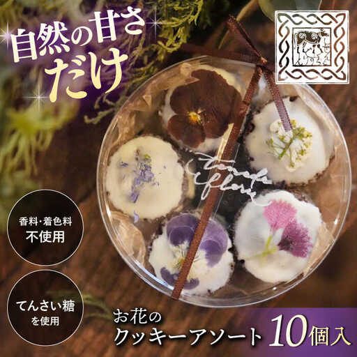 クッキーアソート 1ケース 10個入り [CEM008] クッキー お菓子