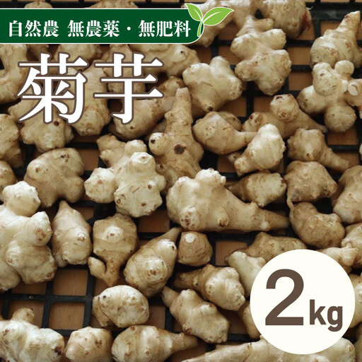 自然農 菊芋 約2kg 【 菊芋 】
