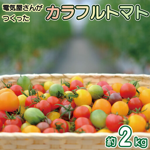 [ トマト ] カラフルトマト 2kg ( 250g×8袋 )