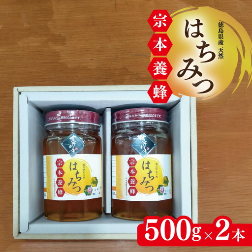 はちみつ 化粧箱入 500g×2本 蜂蜜 ハチミツ
