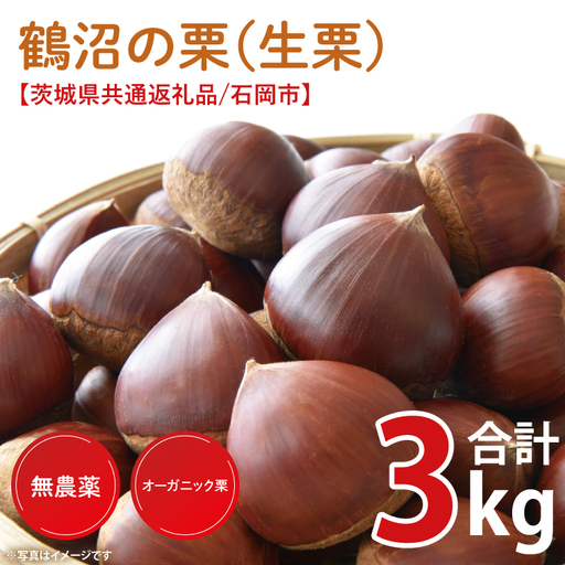 【2026年9月中旬より順次発送】石岡市鶴沼の栗（生栗）3kg（茨城県共通返礼品/石岡市）（KN-6）