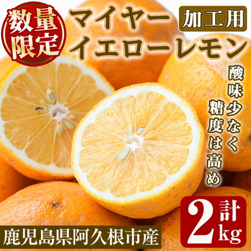 ＜先行予約受付中！2027年1月中旬以降順次発送予定＞数量限定！加工用・露地マイヤーイエローレモン(2kg) 国産 果実 果物 レモン イエローレモン フルーツ 檸檬 柑橘 デザート 期間限定【桐野柑橘株式会社】akn070-02