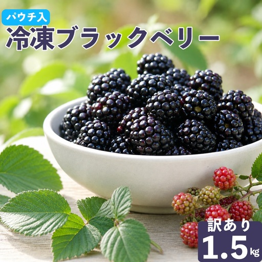 [ふるさと納税][[加工用・訳あり]冷凍ブラックベリー約1.5kg]ふるーつ fruit ヒロの果樹園からMIYAMOTOFARM が受け継ぎました 冷凍フルーツ フローズン スムージー チャック付き袋入り 家庭用 高知県 佐川町 (栽培期間中 化学農薬化学肥料不使用)