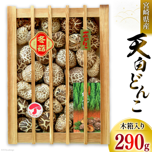 宮崎県産 乾椎茸 ギフト 天白 どんこ 「K-100」 290g 肉厚