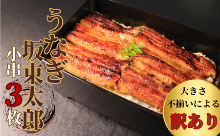 【訳あり】 国産 坂東太郎鰻の鰻蒲焼 小3枚