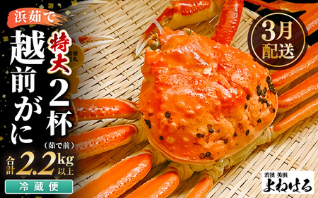 【先行予約】越前がに 特大 (茹で前1.1～1.3kg) × 2杯 【2027年3月上旬以降順次発送予定】浜茹で 越前がに [m17-x004_03] 